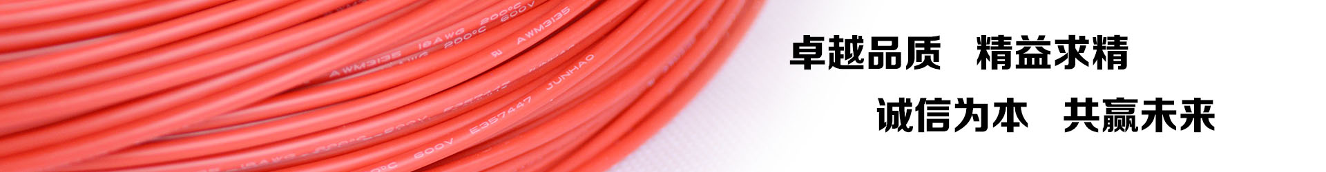 拼搏在线官网电线