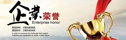 拼搏在线官网荣誉